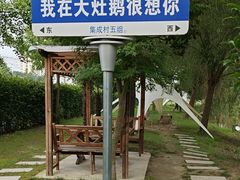 -大队长大灶鹅