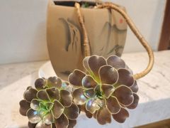 -崂山水果园农家宴(泉水鸡店)