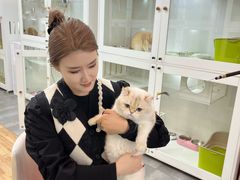 -青奢宠物·青奢猫舍