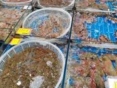 -船奇蒸汽海鲜·闽菜(八市海鲜总店)