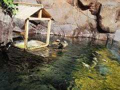 -上海海洋水族馆