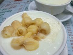 莲子双皮奶冻-义顺牛奶公司(新马路老店)