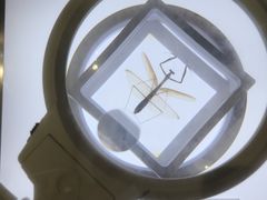 -上海昆虫博物馆