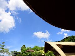 -海南槟榔谷黎苗文化旅游区