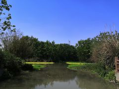 -桤木河湿地公园