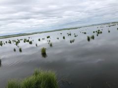 -花湖生态旅游区