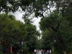 景点-北山公园
