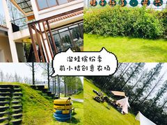 -前小桔亲子创意农场·草莓采摘·露营烧烤