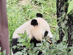 -沈阳森林动物园
