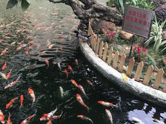 -番禺宾馆丽苑厅