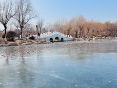 -长春市南湖公园