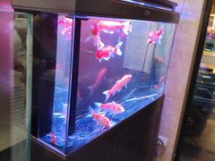 -三道菜(明堂公园店)