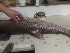 -黄沙水产交易市场
