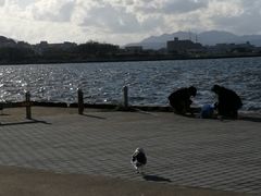 -金森红砖仓库