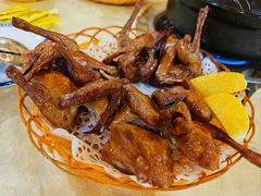 红烧乳鸽-一煲鸽