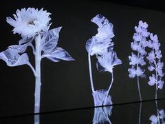 -时代美术馆-成都馆