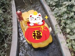 -南宫五洲植物乐园