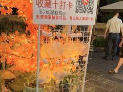 -后湖小院·乡野田园菜