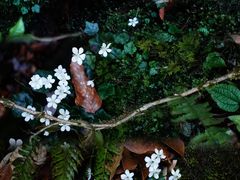 -龙苍沟森林公园