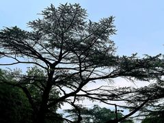 -西郊宾馆·1921餐厅