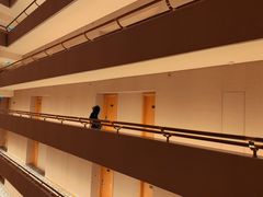 -新加坡文华东方酒店