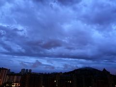 -合肥滨湖国家森林公园