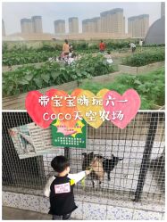 -可可天空农场(东部新城银泰店)