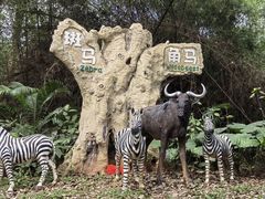 -海南热带野生动植物园