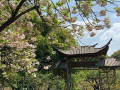 -白马涧龙池景区