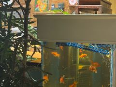 -谷咖啡·鲜花绿植花园餐厅