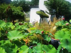 -无锡蠡湖国家湿地公园-蠡园