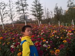 -四里河滨水生态公园