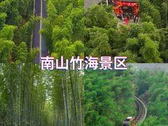 -紫藤园·天目湖大鱼头(南山竹海店)