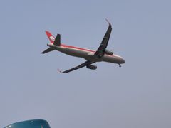 -空港花田景区