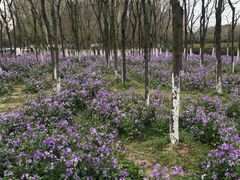 -白塘生态植物园