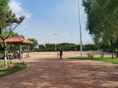 -丁香湖公园
