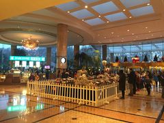 -南京维景国际大酒店(南京博物院店)