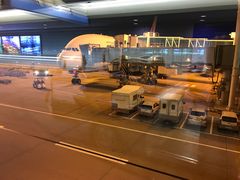 -乐天免税店(仁川国际机场店)