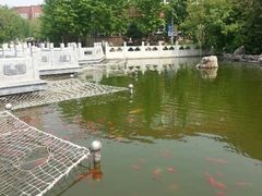 android_upload_pic-北京市海淀外国语实验学校