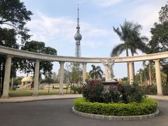 -文华公园(禅城区)