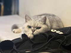 -小时光咖啡馆(北锣鼓巷店)