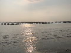 -宝安西湾红树林湿地公园