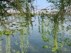 -艾溪湖湿地公园