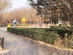 -大兴滨河森林公园