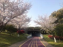 -尚贤河湿地