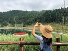 -武陵山森林公园