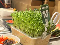 -海底捞火锅(江北万达商业广场店)