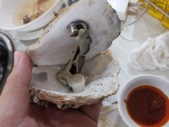 -春华海鲜城(广场西苑店)