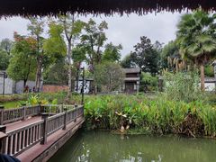 -枫香湖儿童公园