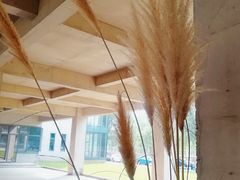 -山下C5cafe(惠通时代广场店)